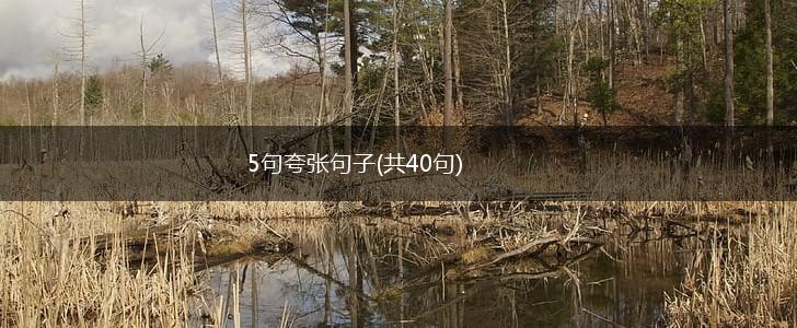 5句夸张句子(共40句),第1张