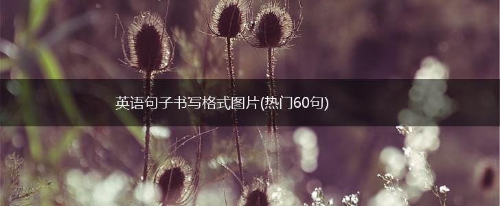 英语句子书写格式图片(热门60句),第1张