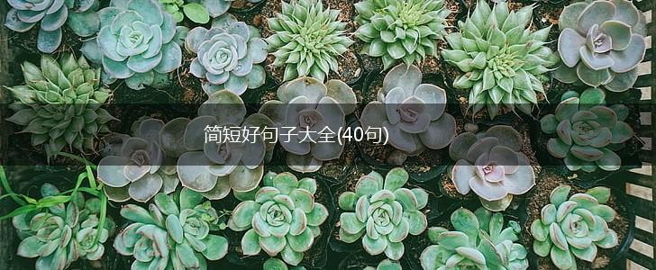 简短好句子大全(40句),第1张