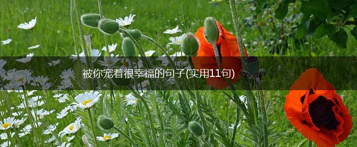 被你宠着很幸福的句子(实用11句),第1张