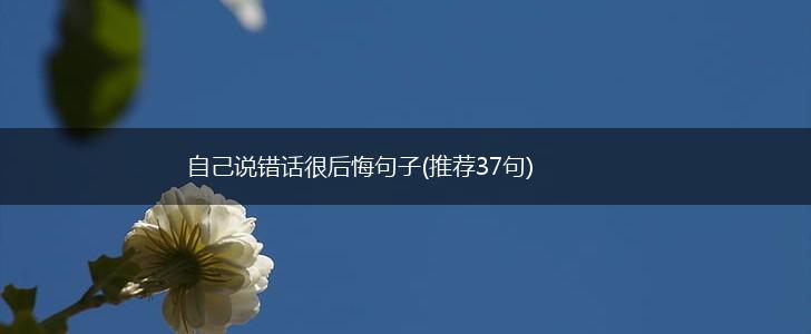 自己说错话很后悔句子(推荐37句),第1张