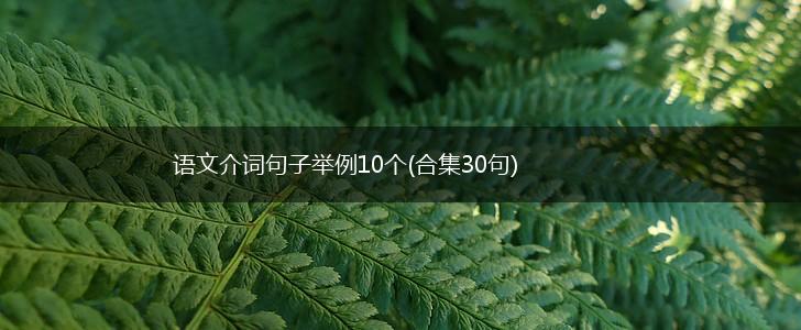 语文介词句子举例10个(合集30句),第1张