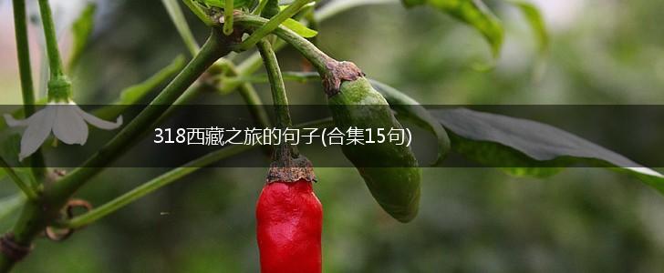 318西藏之旅的句子(合集15句),第1张