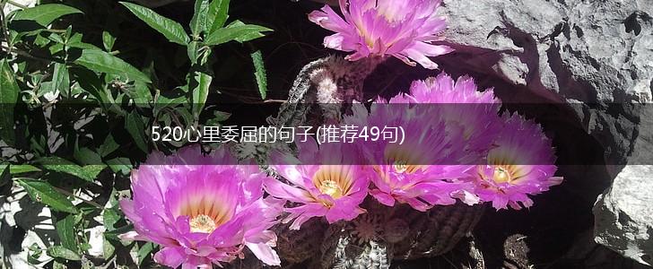 520心里委屈的句子(推荐49句),第1张