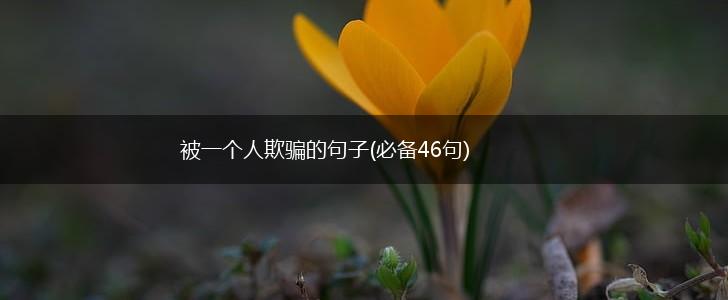 被一个人欺骗的句子(必备46句),第1张