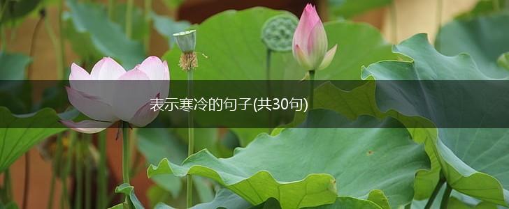表示寒冷的句子(共30句),第1张