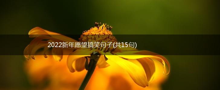 2022新年愿望搞笑句子(共15句),第1张