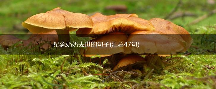 纪念奶奶去世的句子(汇总47句),第1张