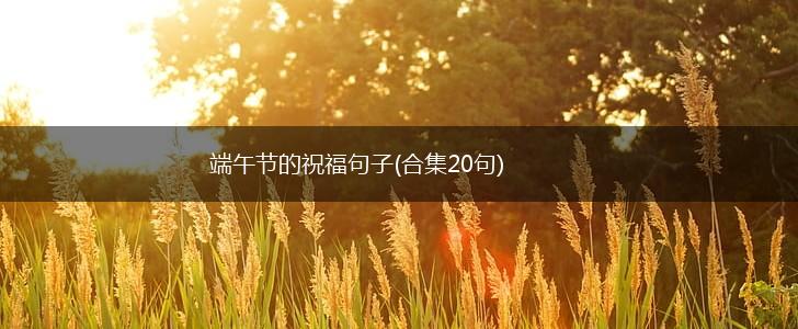 端午节的祝福句子(合集20句),第1张