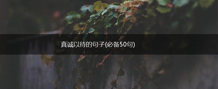 真诚以待的句子(必备50句),第1张