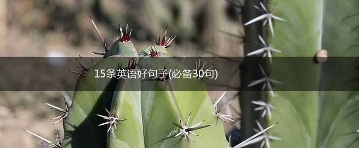 15条英语好句子(必备30句),第1张