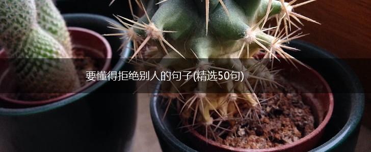 要懂得拒绝别人的句子(精选50句),第1张