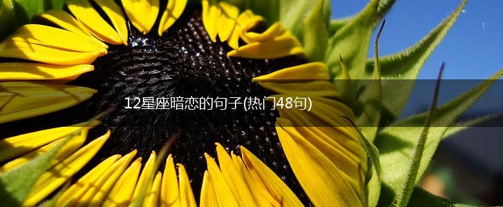 12星座暗恋的句子(热门48句),第1张