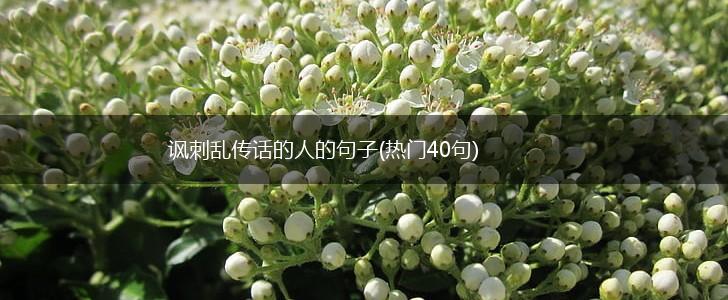 讽刺乱传话的人的句子(热门40句),第1张