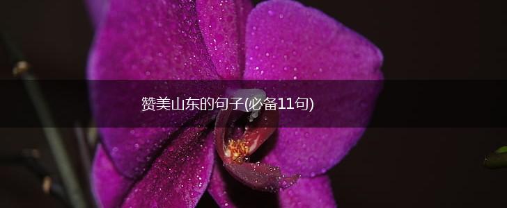 赞美山东的句子(必备11句),第1张