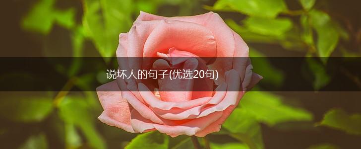说坏人的句子(优选20句),第1张