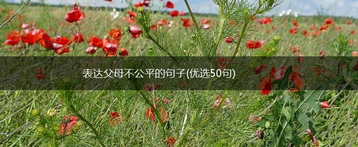 表达父母不公平的句子(优选50句),第1张