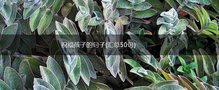 祝福孩子的句子(汇总50句),第1张