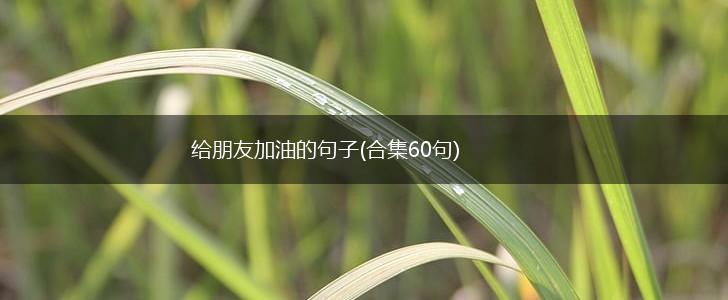 给朋友加油的句子(合集60句),第1张