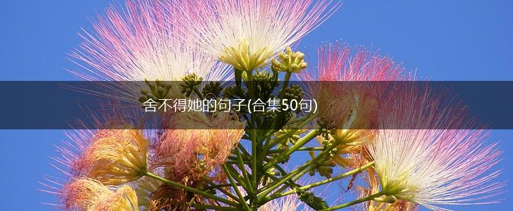 舍不得她的句子(合集50句),第1张