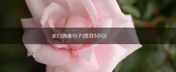 表白偶像句子(推荐50句),第1张