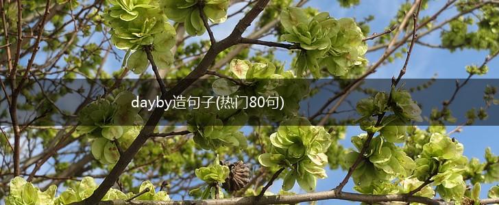 dayby造句子(热门80句),第1张