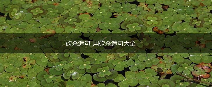 砍杀造句_用砍杀造句大全,第1张