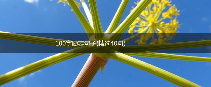 100字励志句子(精选40句),第1张
