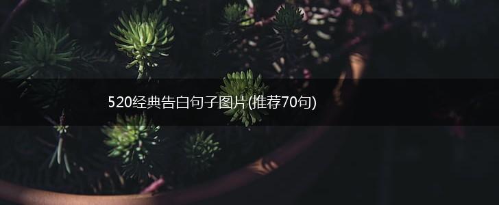 520经典告白句子图片(推荐70句),第1张
