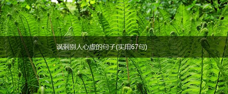 讽刺别人心虚的句子(实用67句),第1张