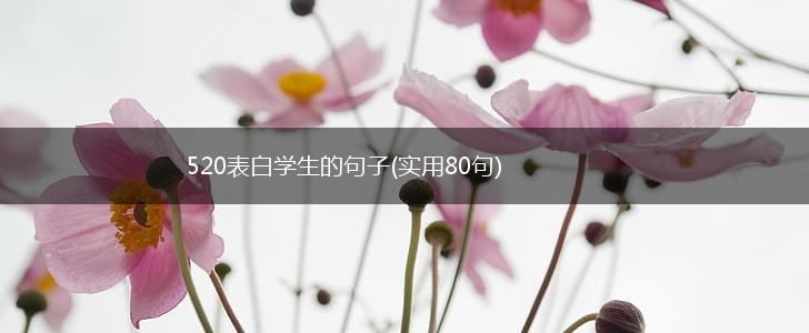 520表白学生的句子(实用80句),第1张