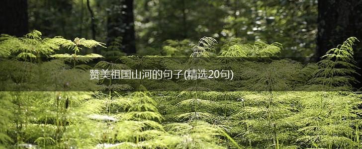 赞美祖国山河的句子(精选20句),第1张