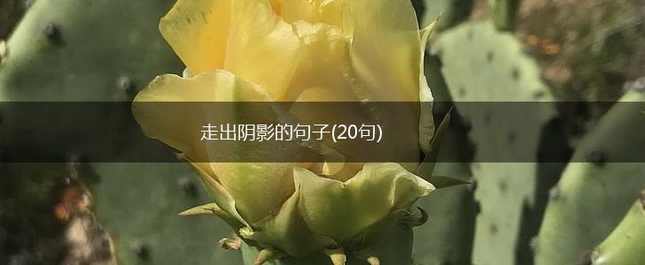 走出阴影的句子(20句),第1张