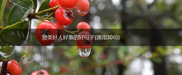 赞美好人好事的好句子(通用30句),第1张