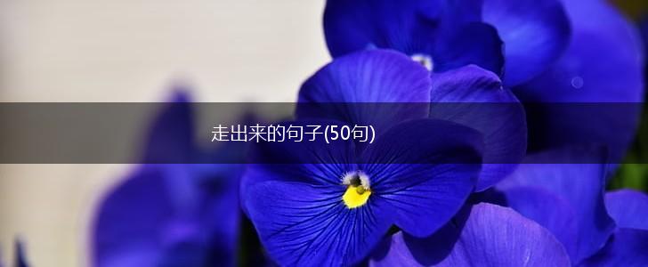 走出来的句子(50句),第1张