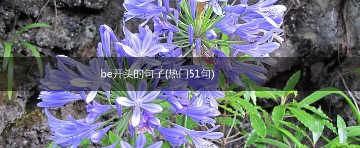be开头的句子(热门51句),第1张