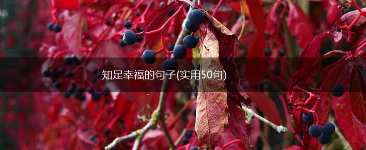 知足幸福的句子(实用50句),第1张