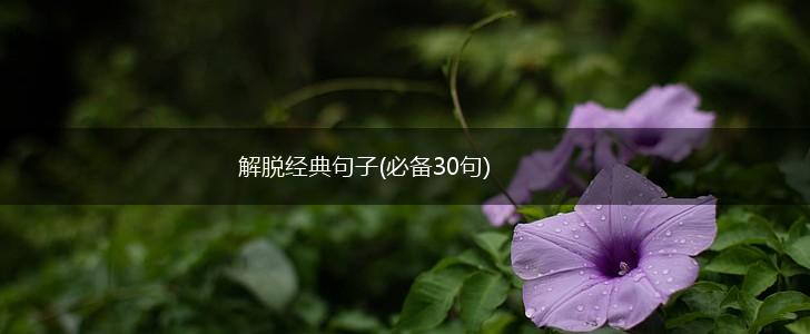解脱经典句子(必备30句),第1张