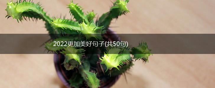 2022更加美好句子(共50句),第1张