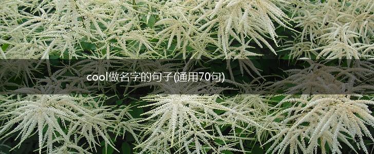 cool做名字的句子(通用70句),第1张