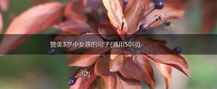 赞美3岁小女孩的句子(通用50句),第1张