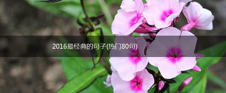 2016最经典的句子(热门80句),第1张