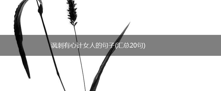 讽刺有心计女人的句子(汇总20句),第1张
