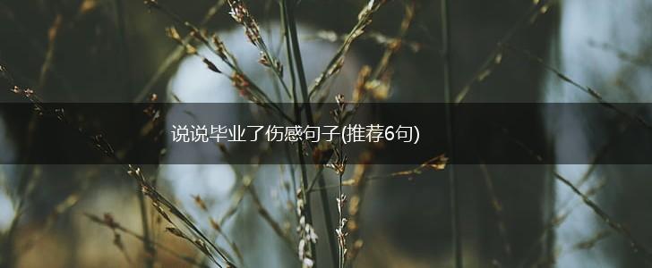 说说毕业了伤感句子(推荐6句),第1张