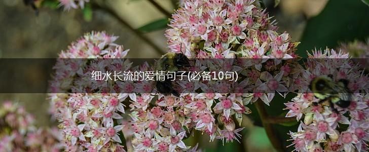 细水长流的爱情句子(必备10句),第1张