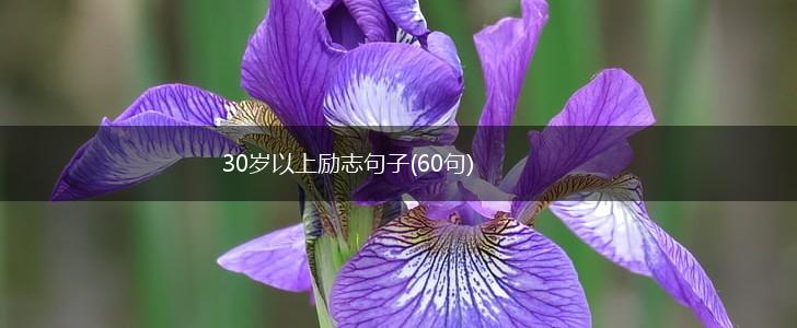 30岁以上励志句子(60句),第1张
