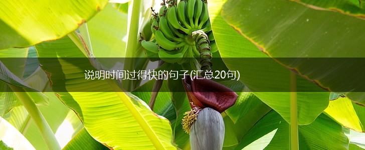 说明时间过得快的句子(汇总20句),第1张