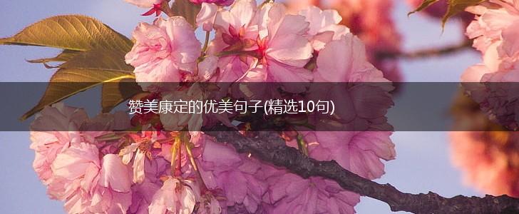 赞美康定的优美句子(精选10句),第1张