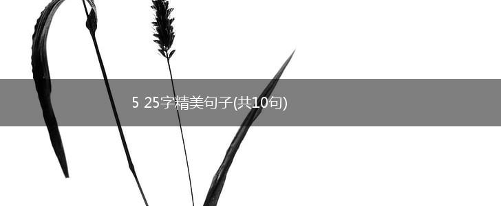 5 25字精美句子(共10句),第1张