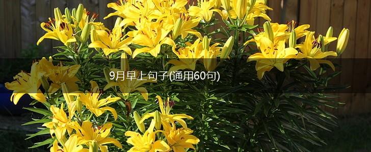 9月早上句子(通用60句),第1张